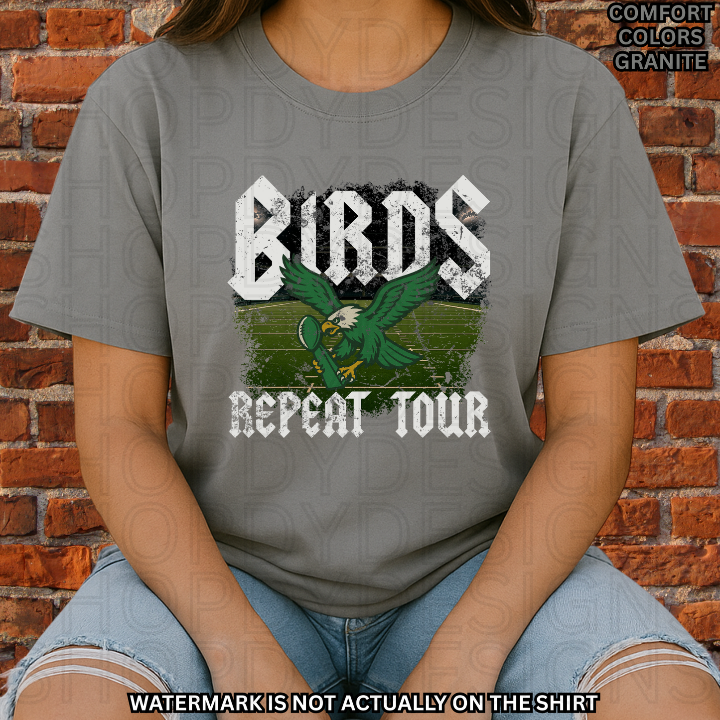 Birds Football Repeat Tour Comfort Colors T-Shirt