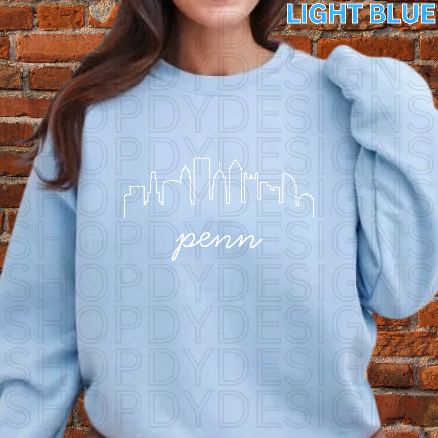 PENN Philly Skyline T-Shirt/Crewneck/Hoodie