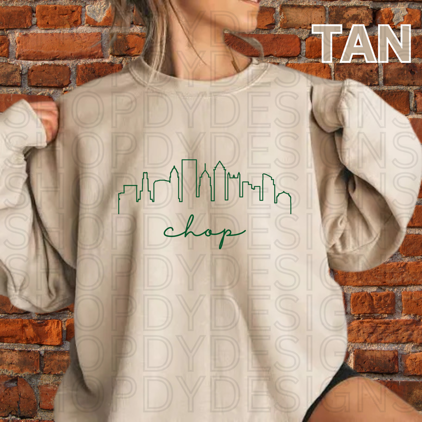CHOP Philly Skyline T-Shirt/Crewneck/Hoodie