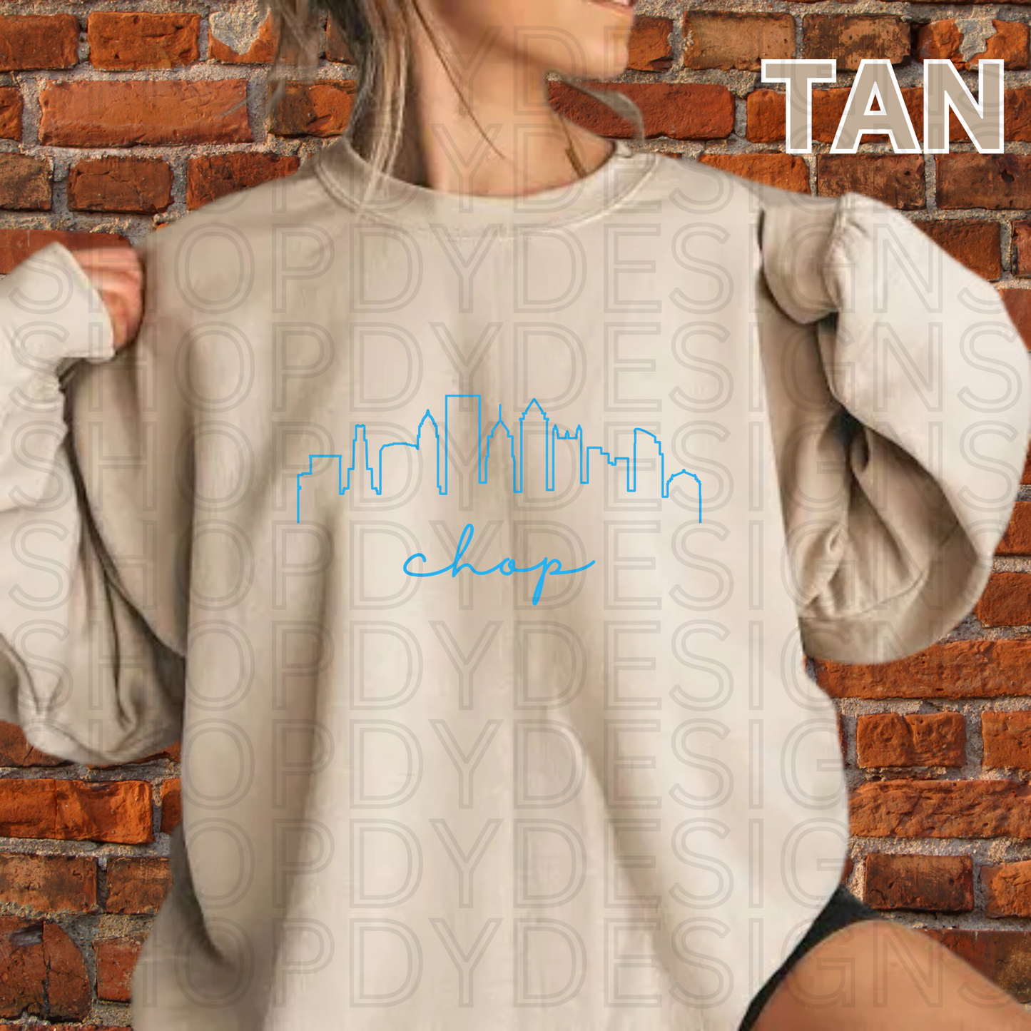CHOP Philly Skyline T-Shirt/Crewneck/Hoodie