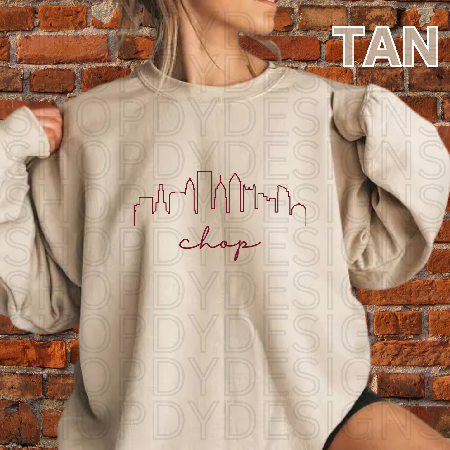 CHOP Philly Skyline T-Shirt/Crewneck/Hoodie