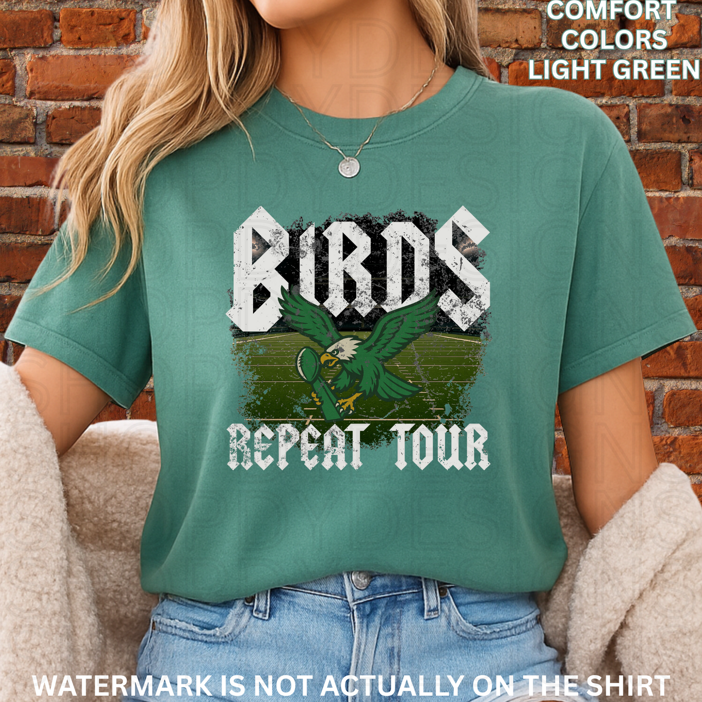 Birds Football Repeat Tour Comfort Colors T-Shirt