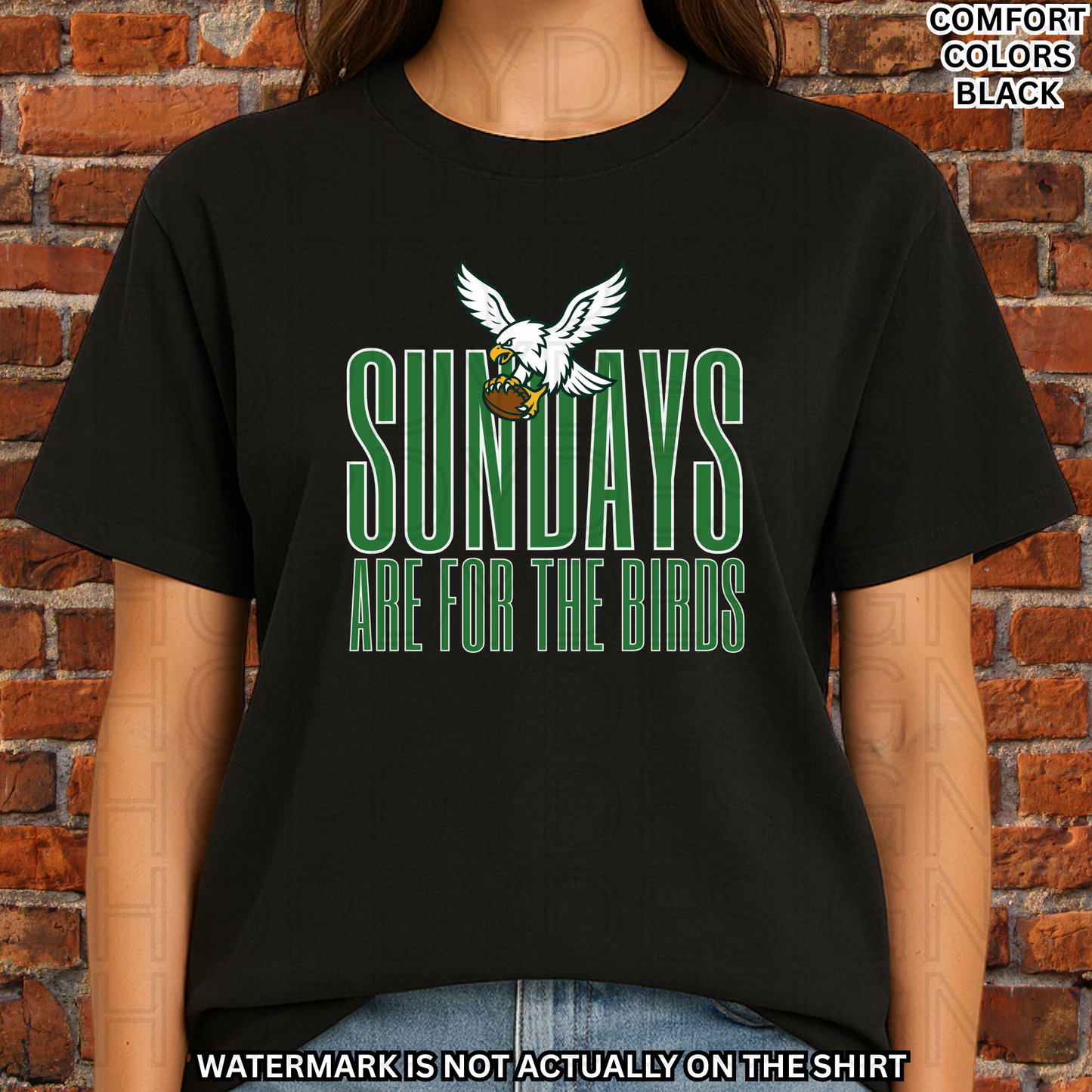 SUNDAYS ARE FOR THE BIRDS Comfort Colors T-Shirt
