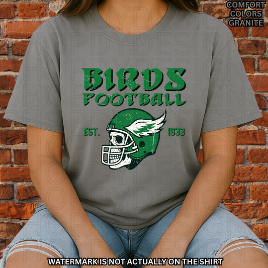 Birds Football Vintage Skull Helmet Comfort Colors T-Shirt