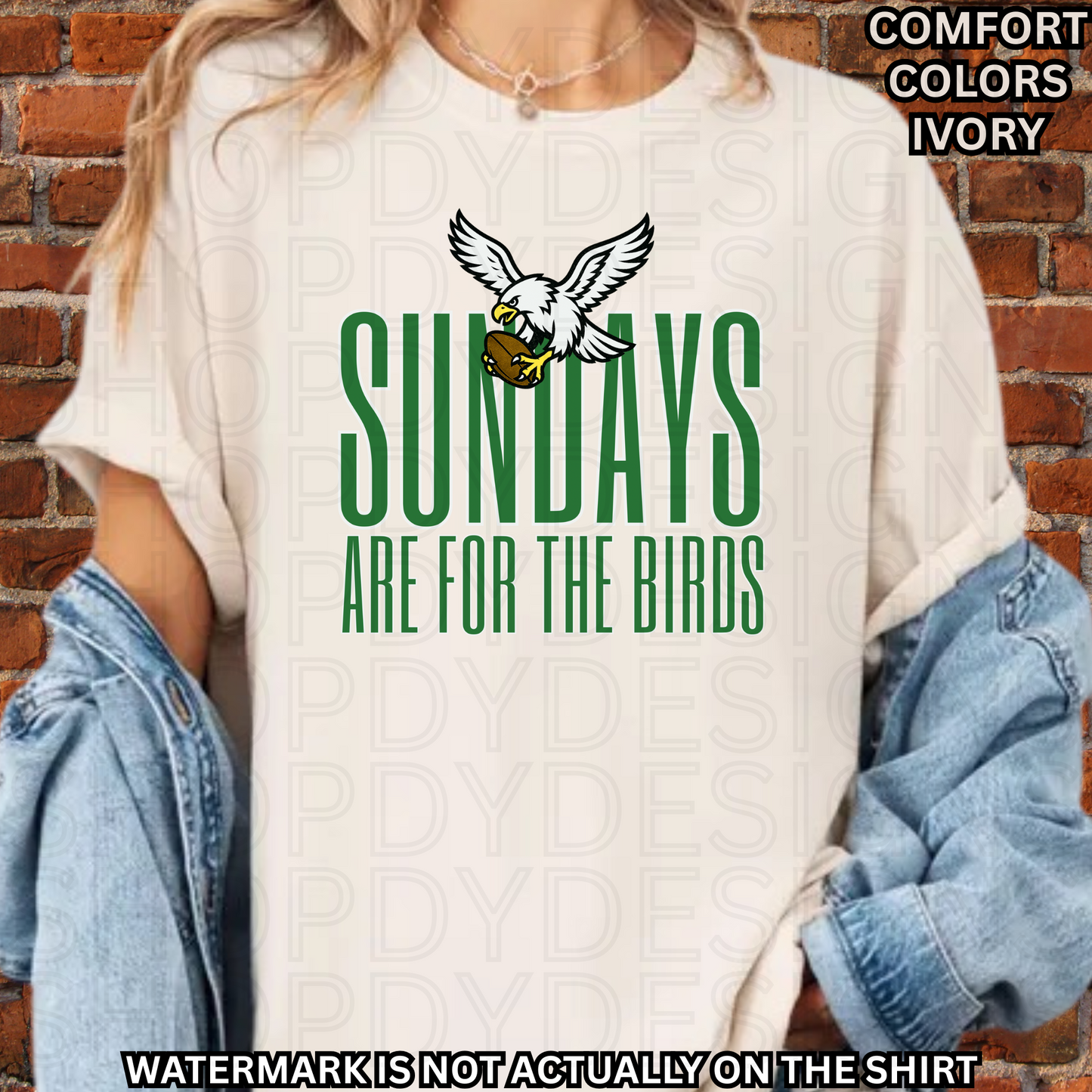 SUNDAYS ARE FOR THE BIRDS Comfort Colors T-Shirt
