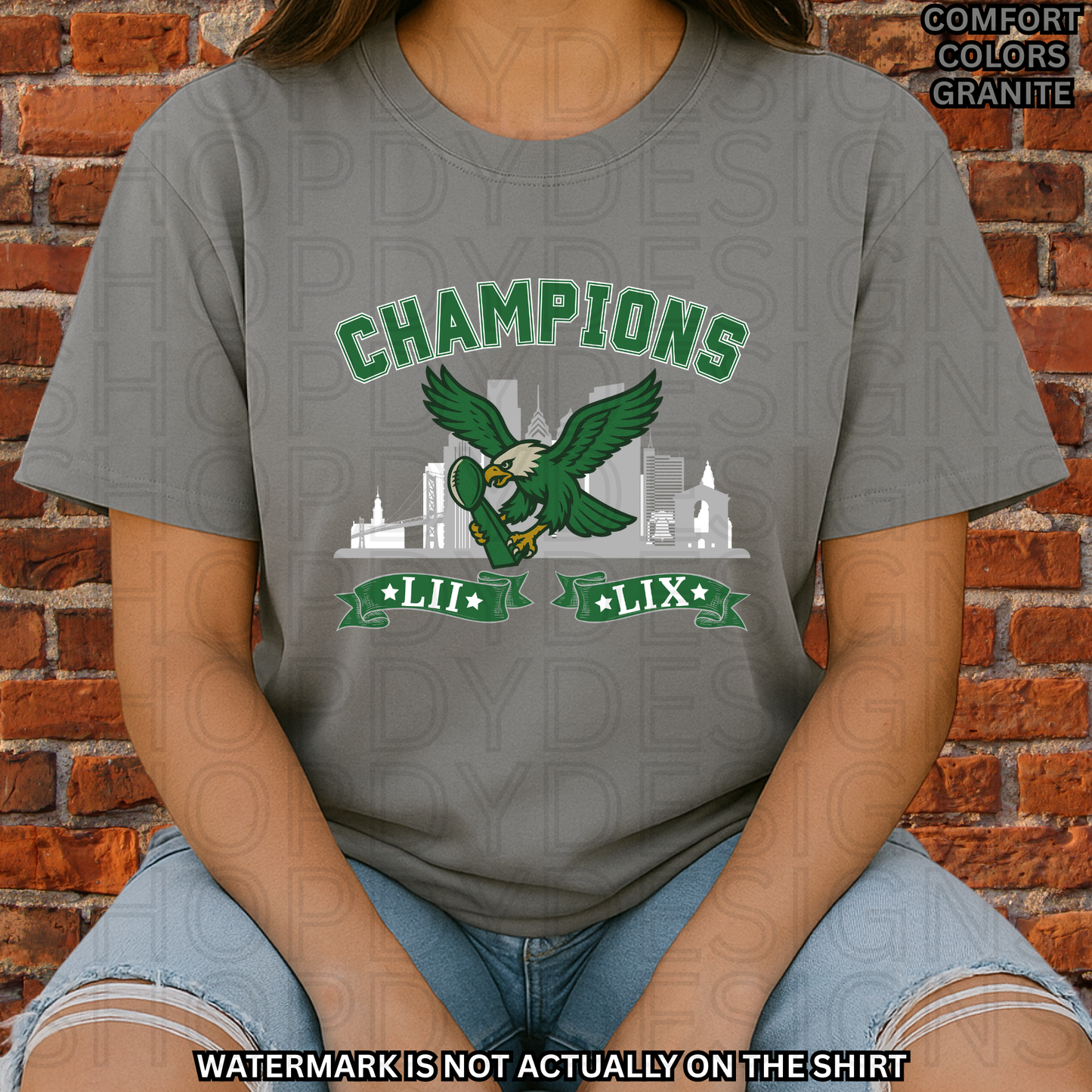 Birds Football Champions Comfort Colors T-Shirt