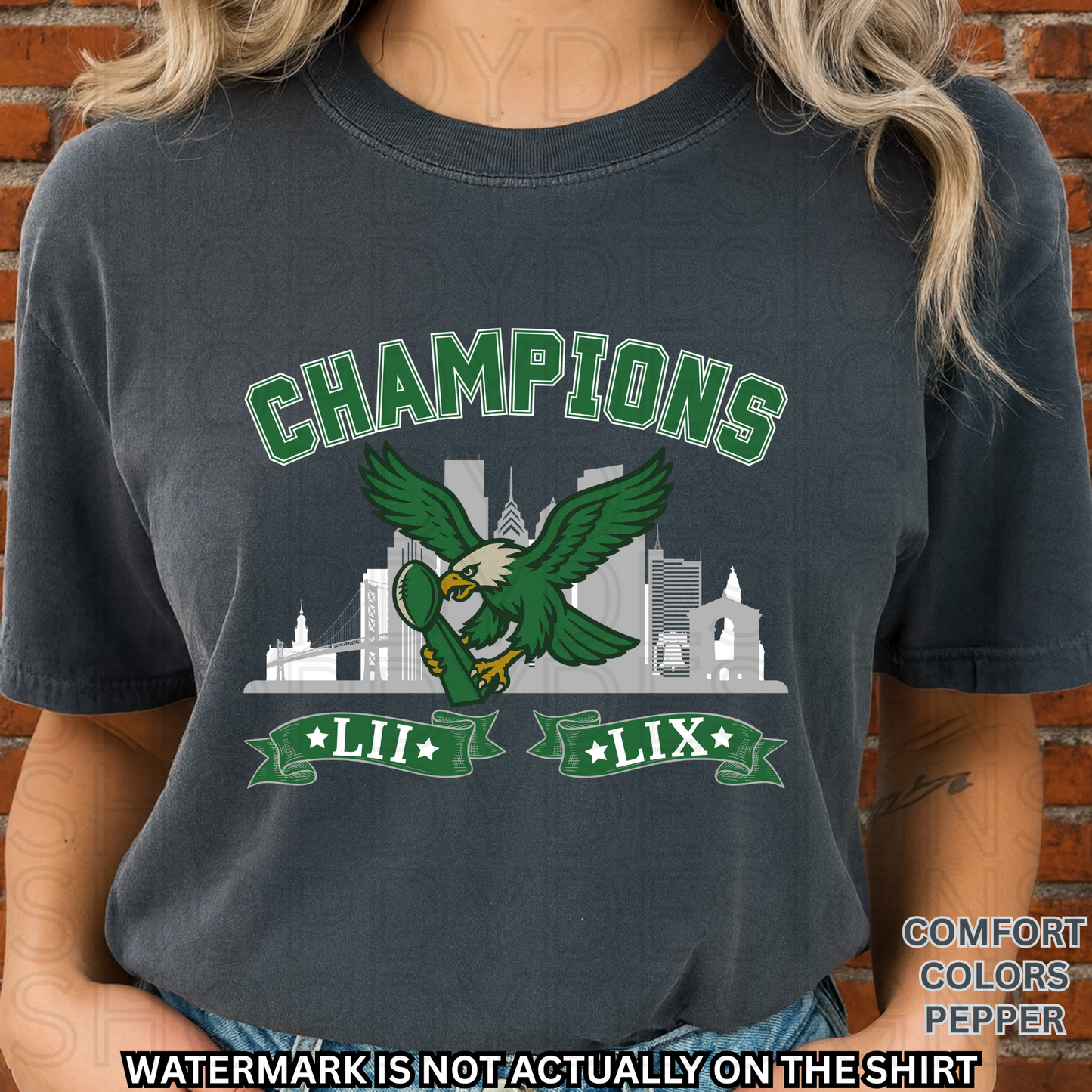 Birds Football Champions Comfort Colors T-Shirt