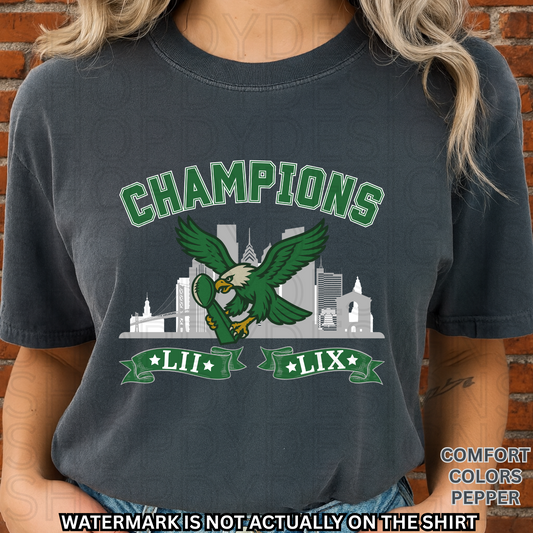 Birds Football Champions Comfort Colors T-Shirt
