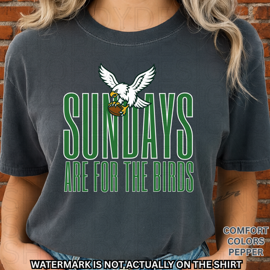 SUNDAYS ARE FOR THE BIRDS Comfort Colors T-Shirt