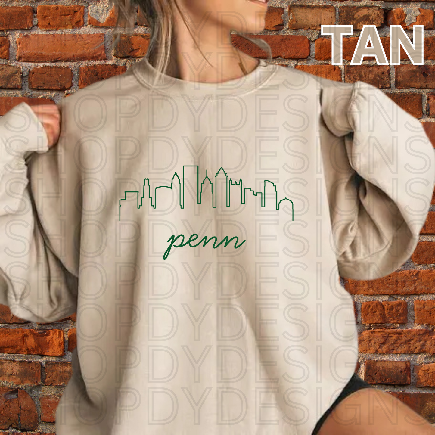 PENN Philly Skyline T-Shirt/Crewneck/Hoodie