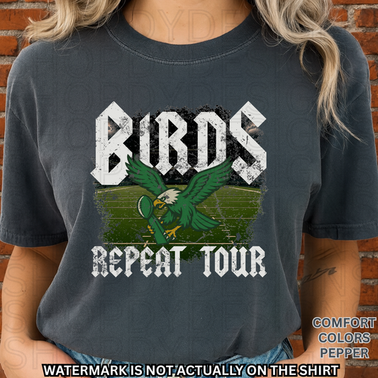 Birds Football Repeat Tour Comfort Colors T-Shirt