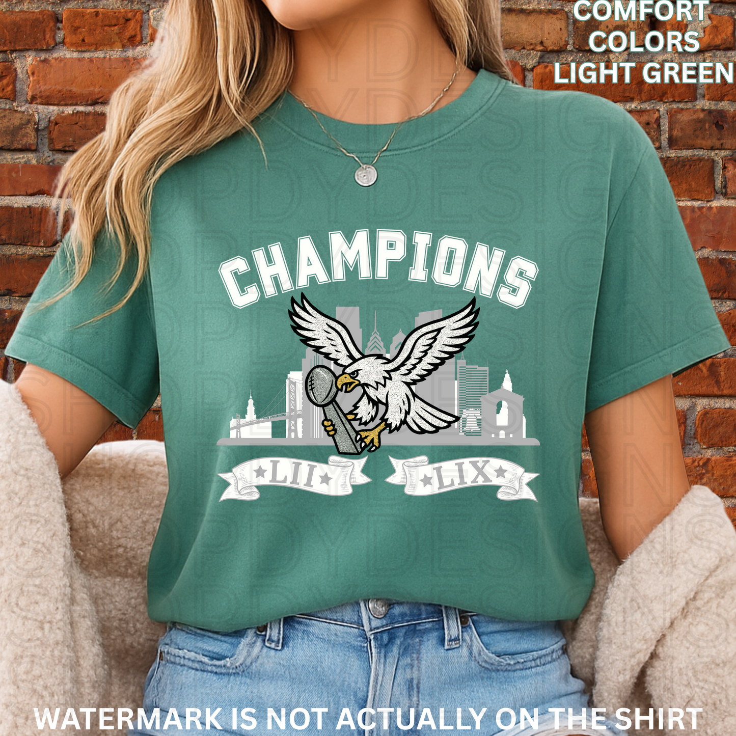 Birds Football Champions Comfort Colors T-Shirt
