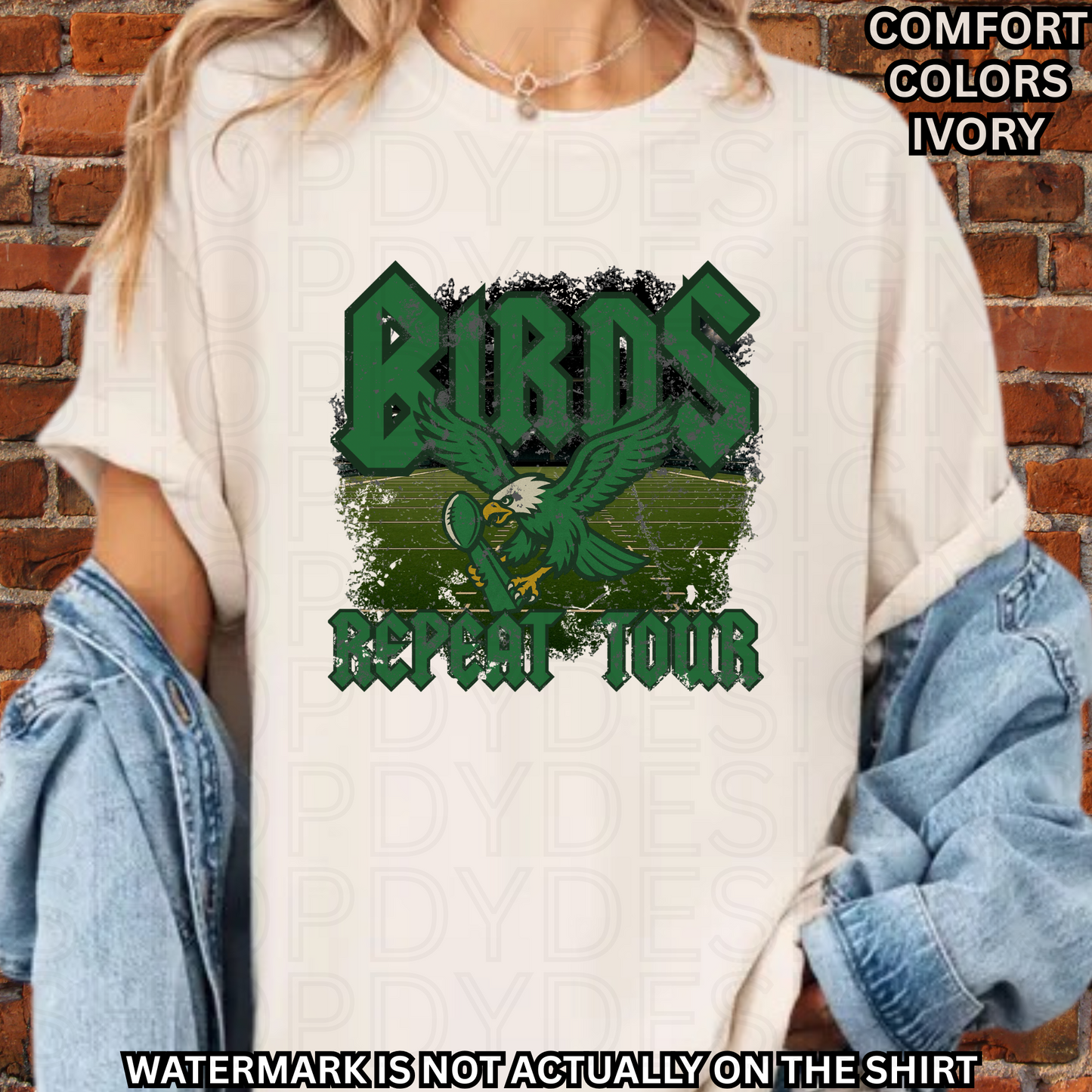 Birds Football Repeat Tour Comfort Colors T-Shirt