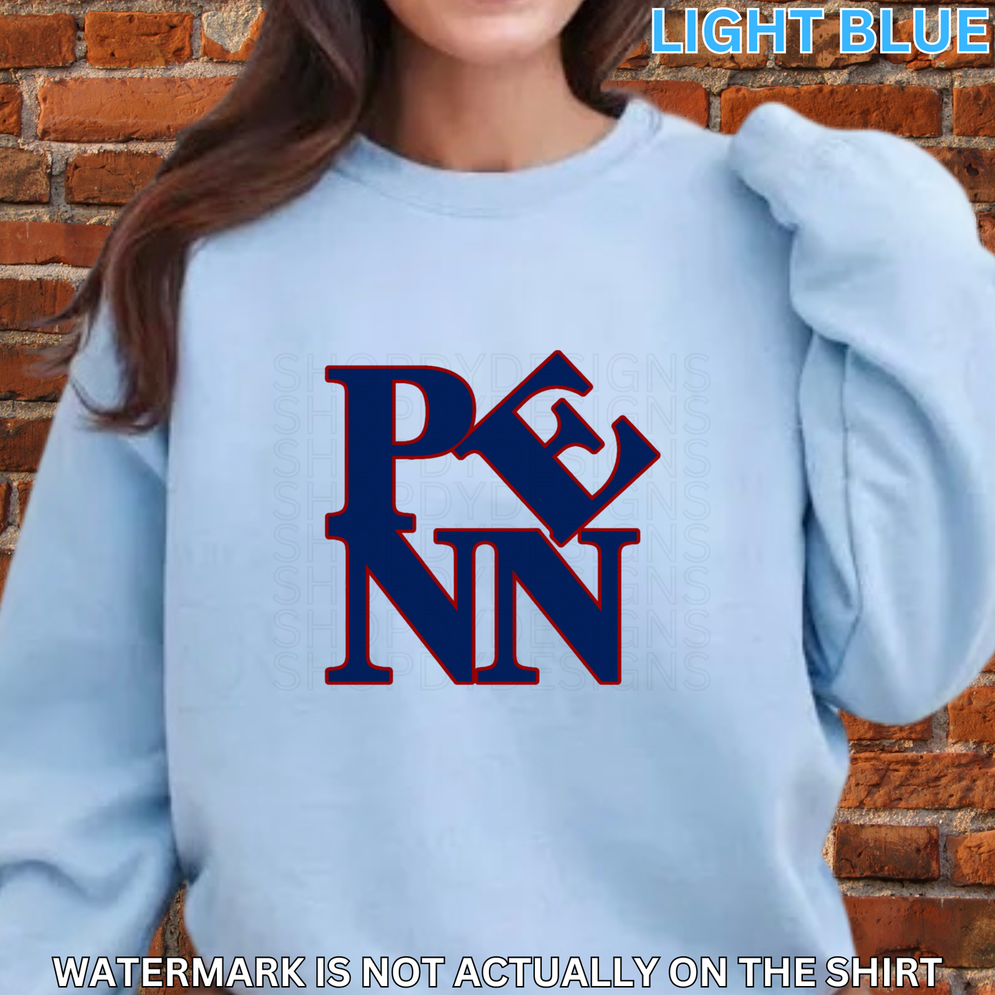 Penn “LOVE PARK” inspired Tee, Crewneck Sweatshirt, Hoodie | Philly-Inspired Healthcare Apparel