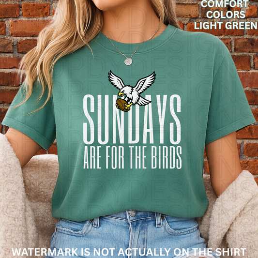 SUNDAYS ARE FOR THE BIRDS Comfort Colors T-Shirt