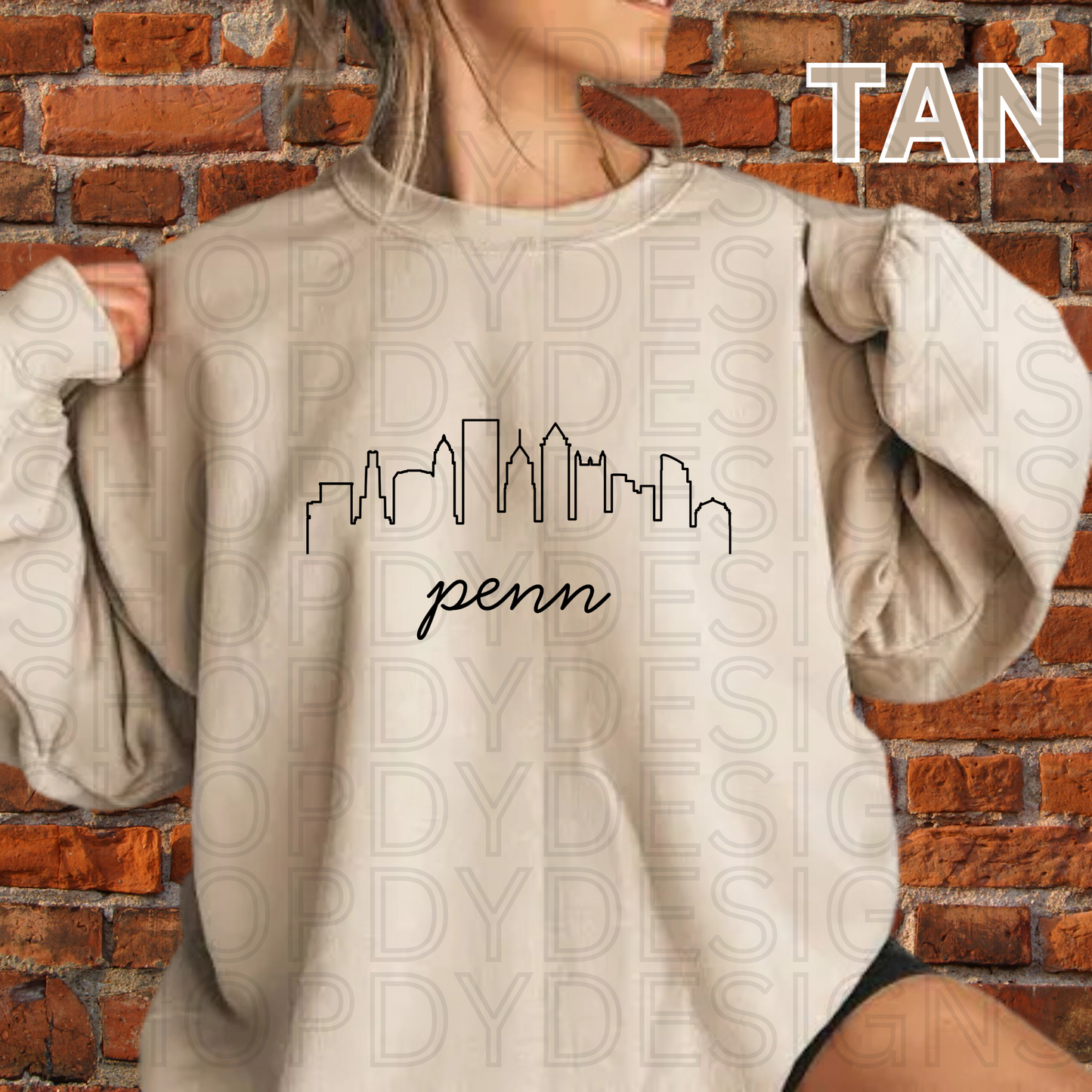 PENN Philly Skyline T-Shirt/Crewneck/Hoodie
