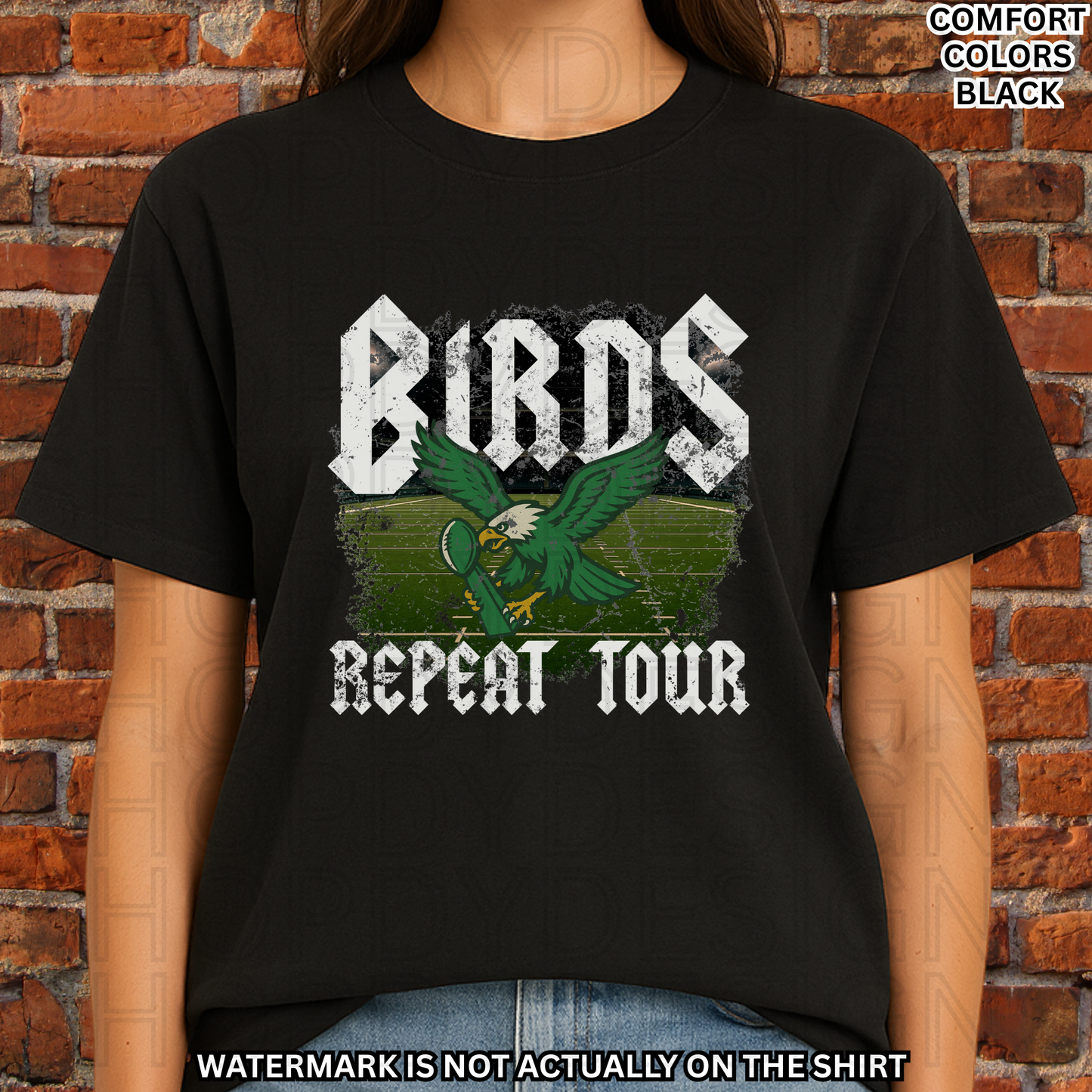 Birds Football Repeat Tour Comfort Colors T-Shirt