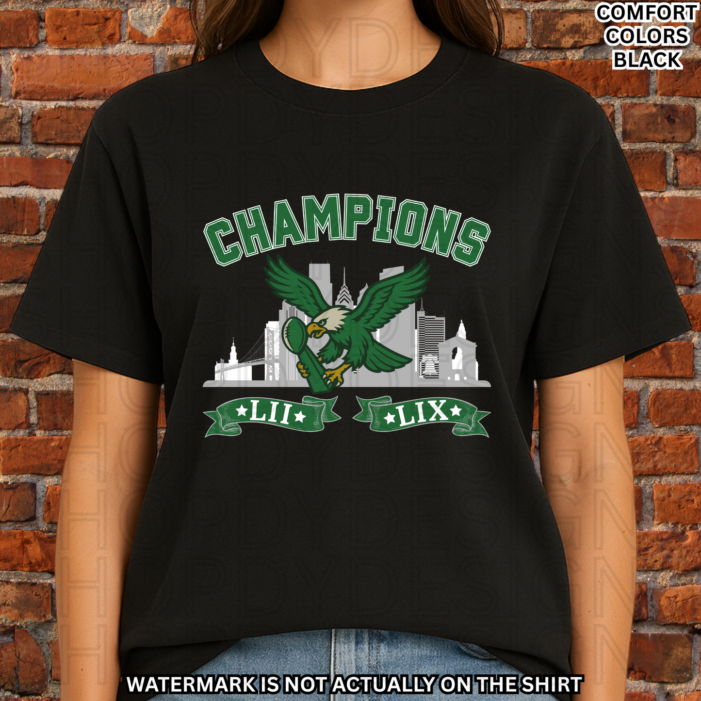 Birds Football Champions Comfort Colors T-Shirt