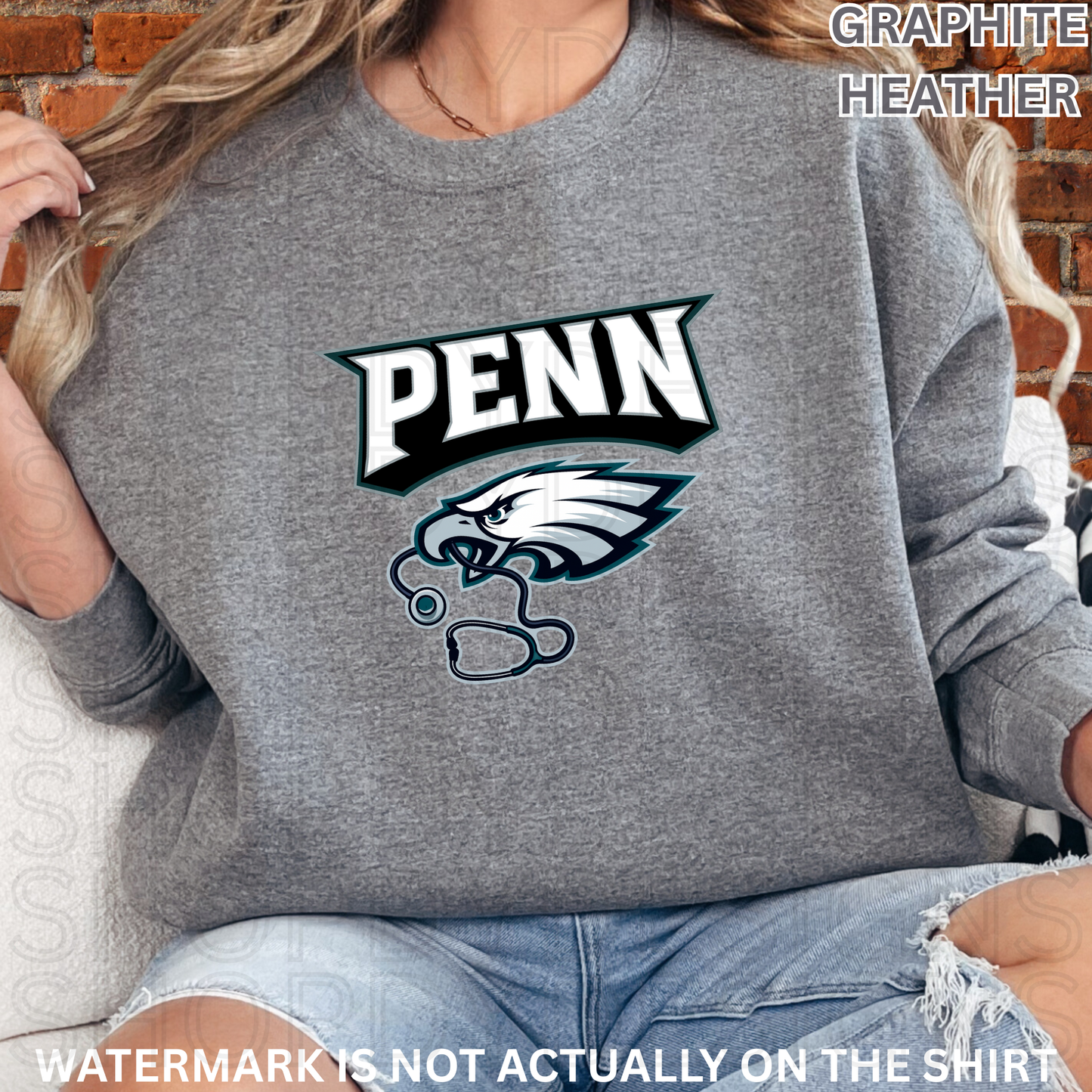 PENN Birds Football T-Shirt/Crewneck/Hoodie