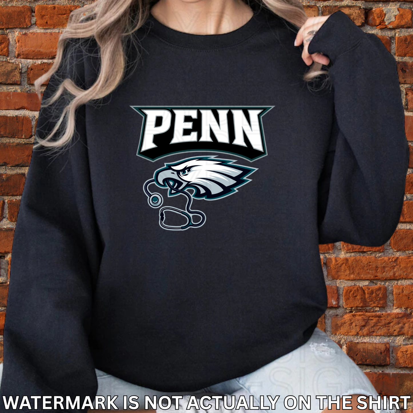 PENN Birds Football T-Shirt/Crewneck/Hoodie