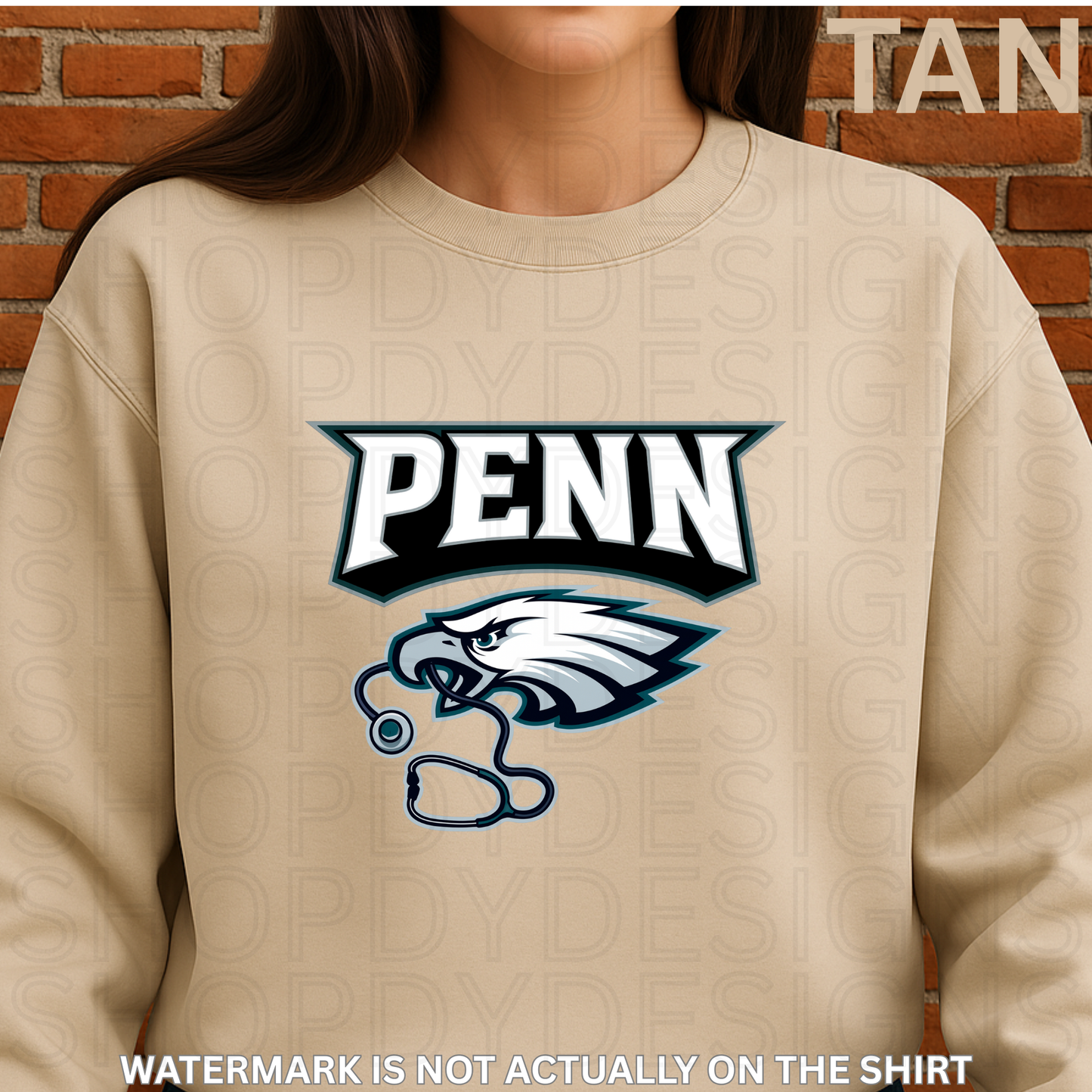 PENN Birds Football T-Shirt/Crewneck/Hoodie