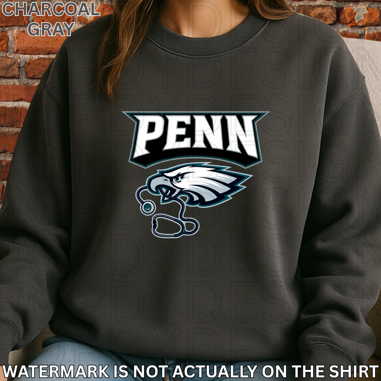 PENN Birds Football T-Shirt/Crewneck/Hoodie